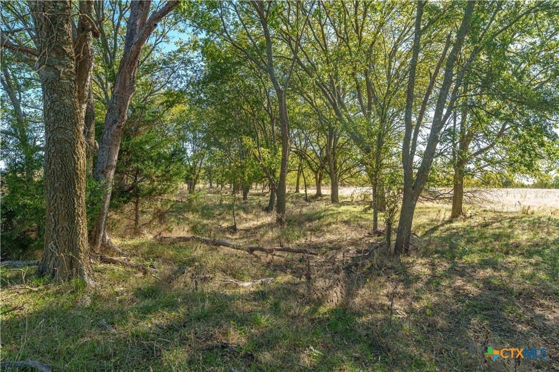 100.49 acres in McLennan County gallery image 3