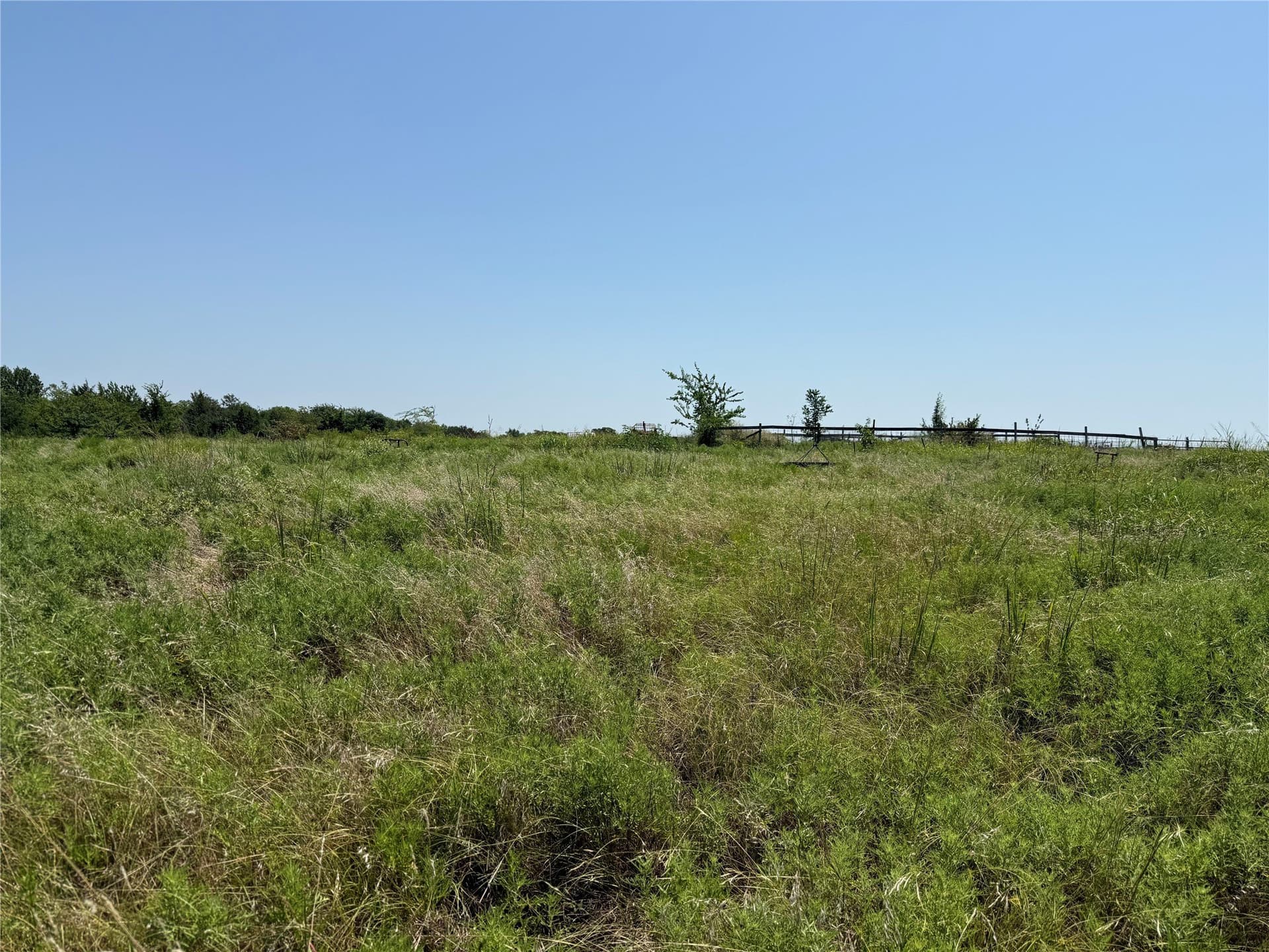 7.27 acres in Hopkins County gallery image 3