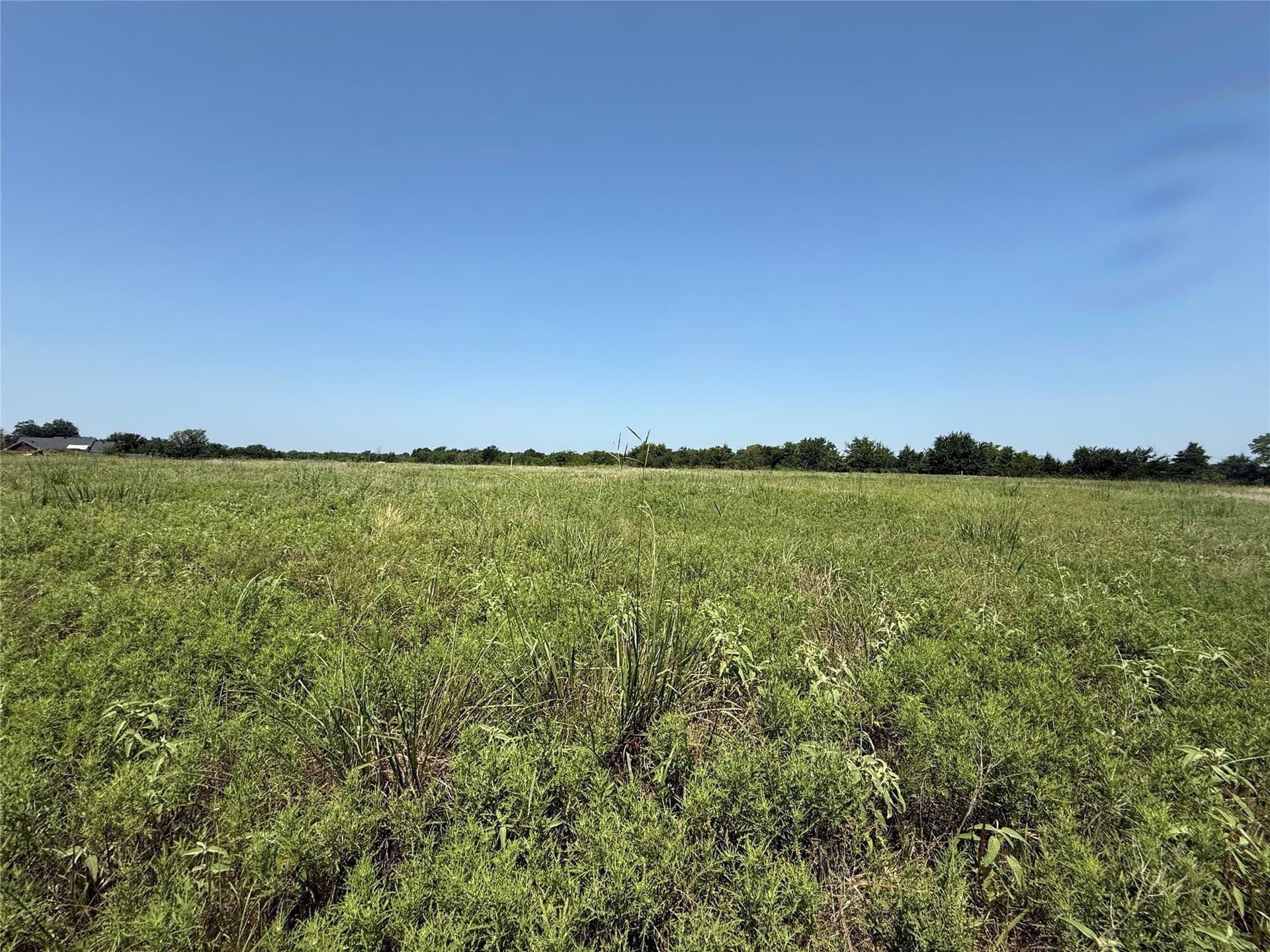 7.27 acres in Hopkins County - photo 7
