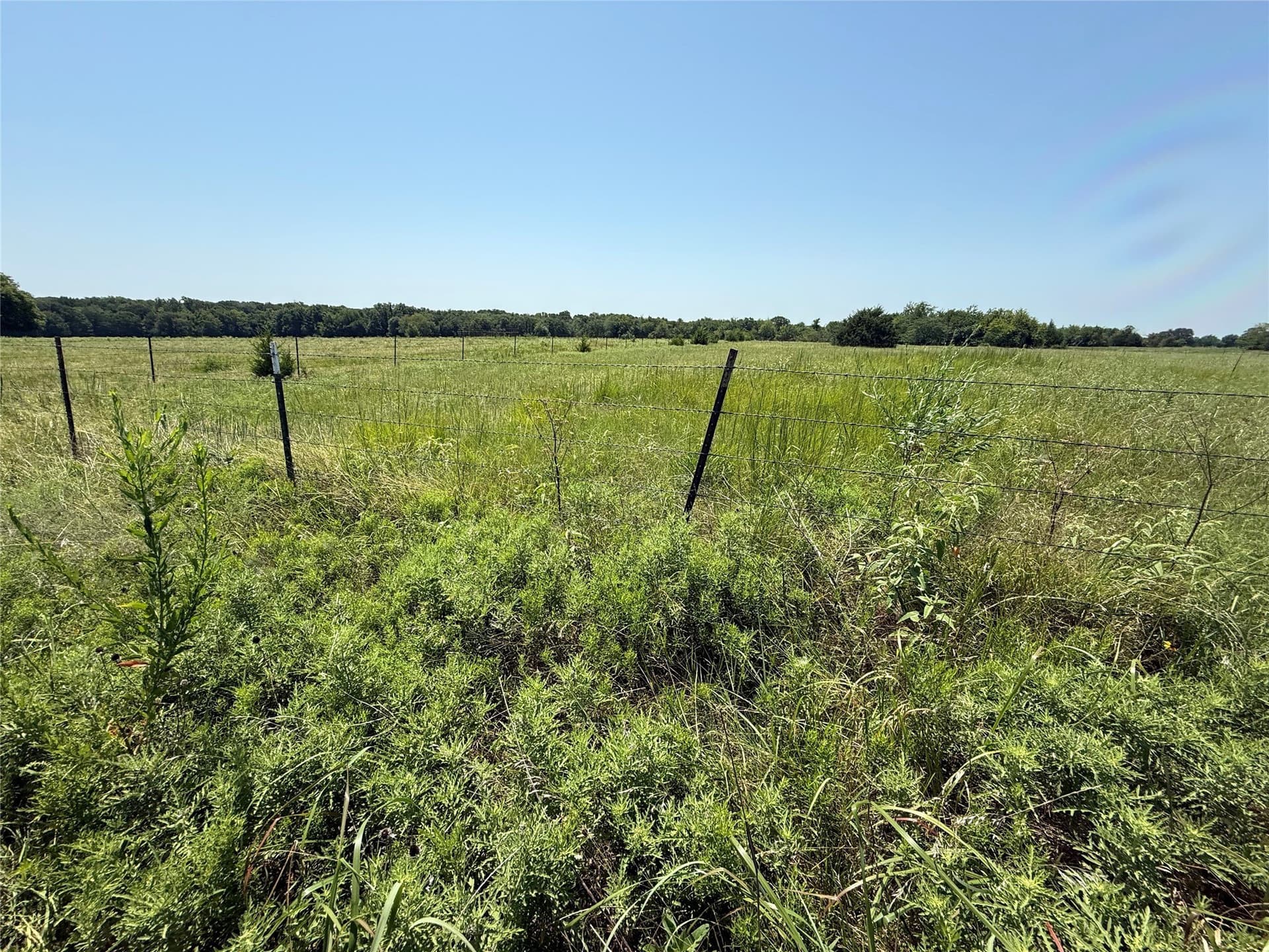 7.27 acres in Hopkins County - photo 10