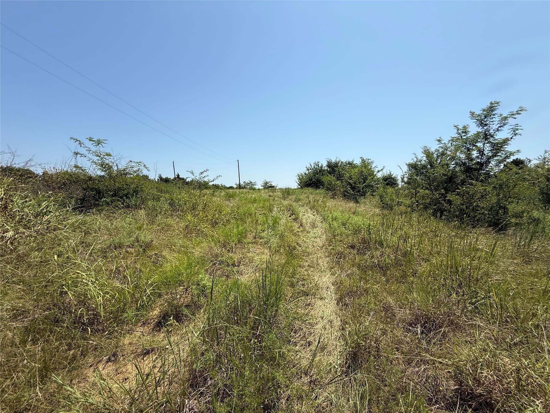 7.27 acres in Hopkins County gallery image 2
