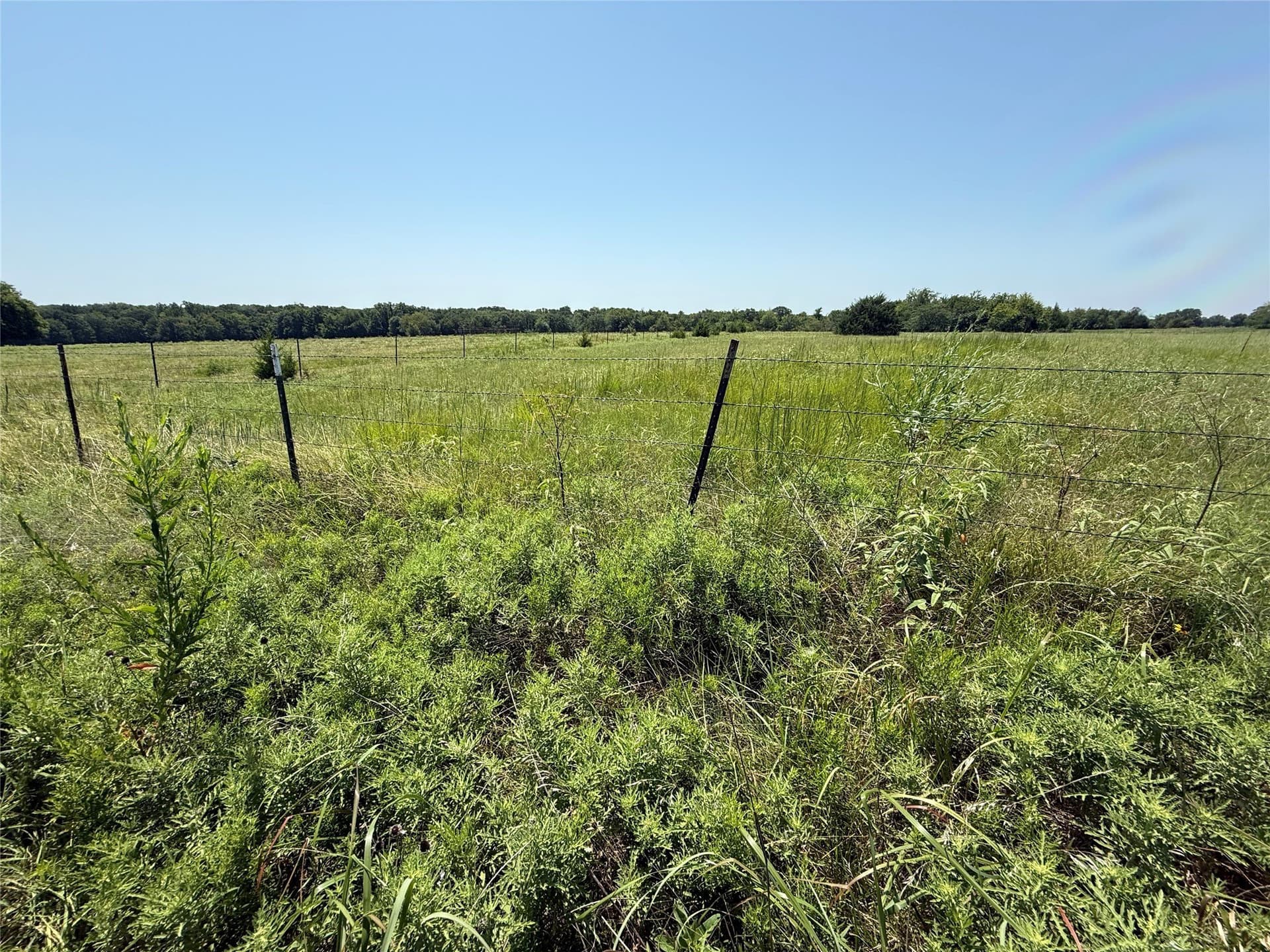 7.27 acres in Hopkins County - photo 9