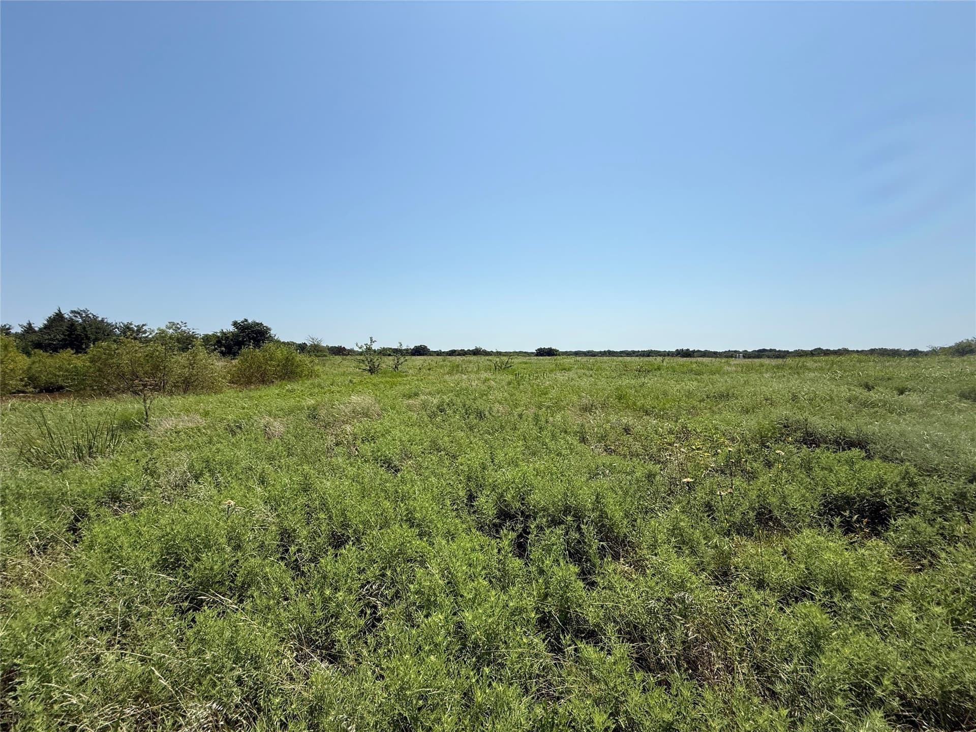 7.27 acres in Hopkins County - photo 8