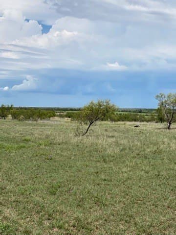 147.09 acres in Hamilton County - photo 11