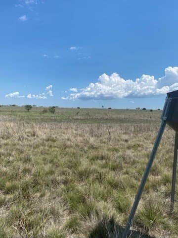 147.09 acres in Hamilton County - photo 18