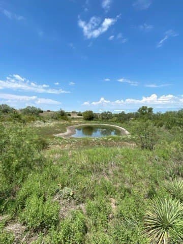 147.09 acres in Hamilton County - photo 15