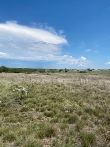 147.09 acres in Hamilton County - photo 17