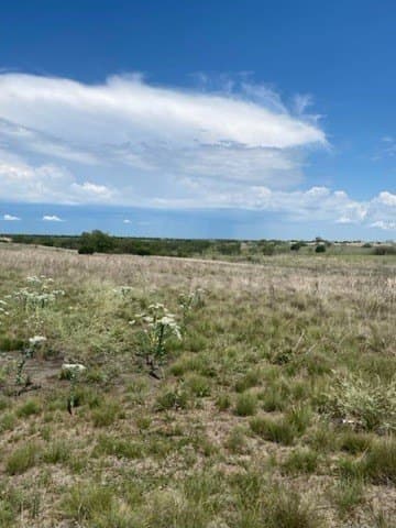 147.09 acres in Hamilton County - photo 19