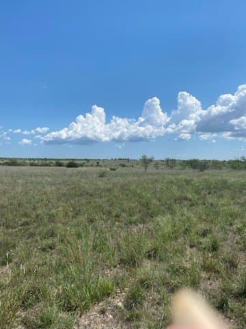 147.09 acres in Hamilton County - photo 23