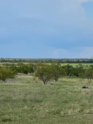 147.09 acres in Hamilton County - photo 8
