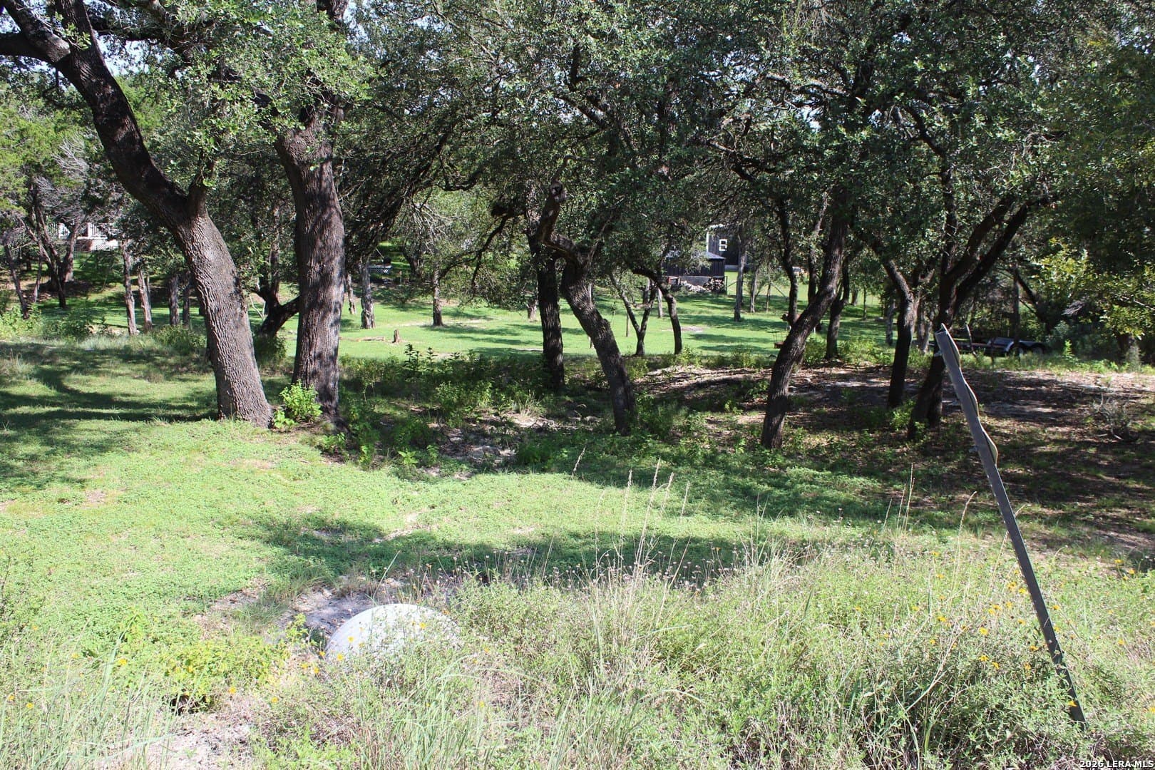 0.24 acres in Comal County gallery image 2