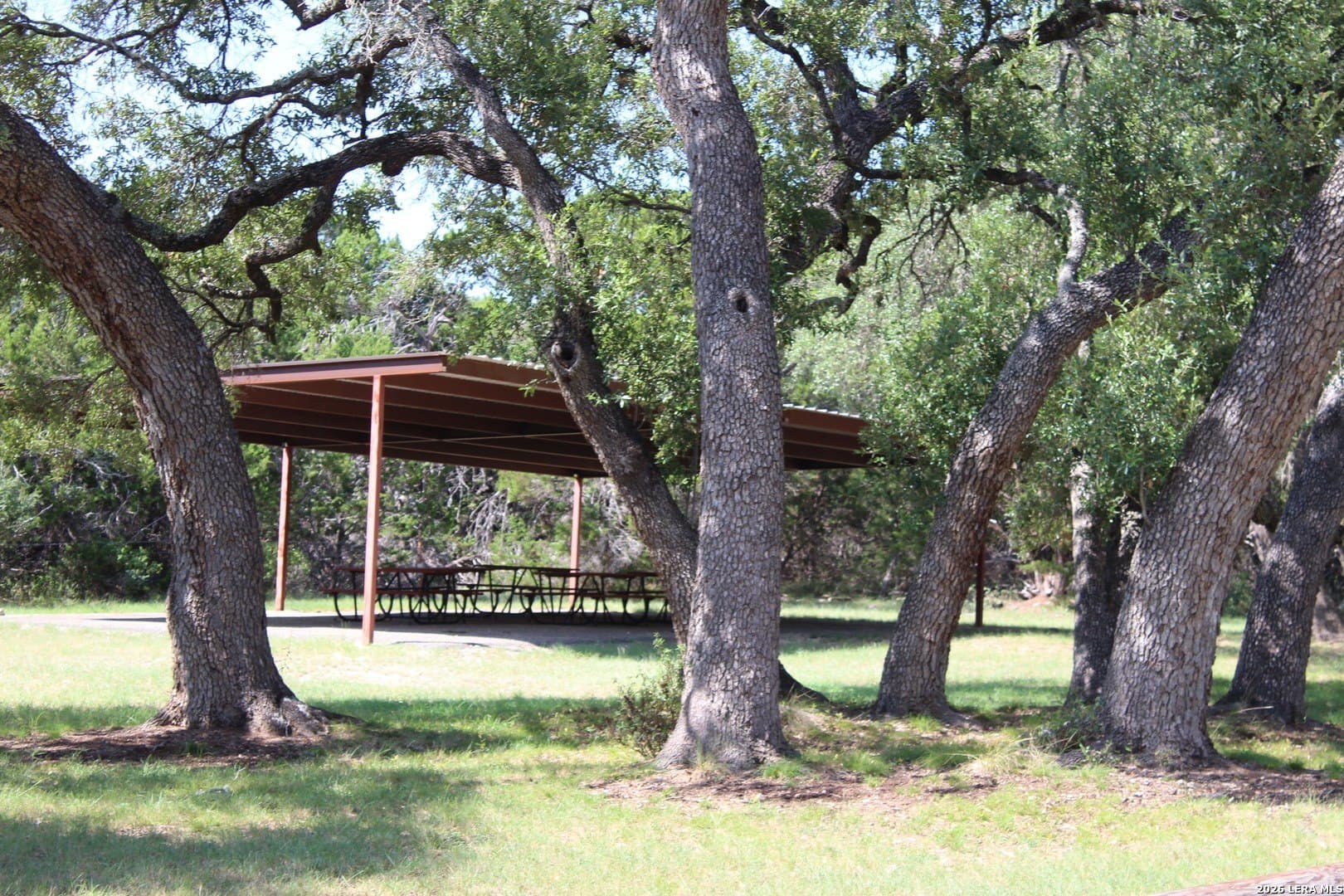0.24 acres in Comal County gallery image 3