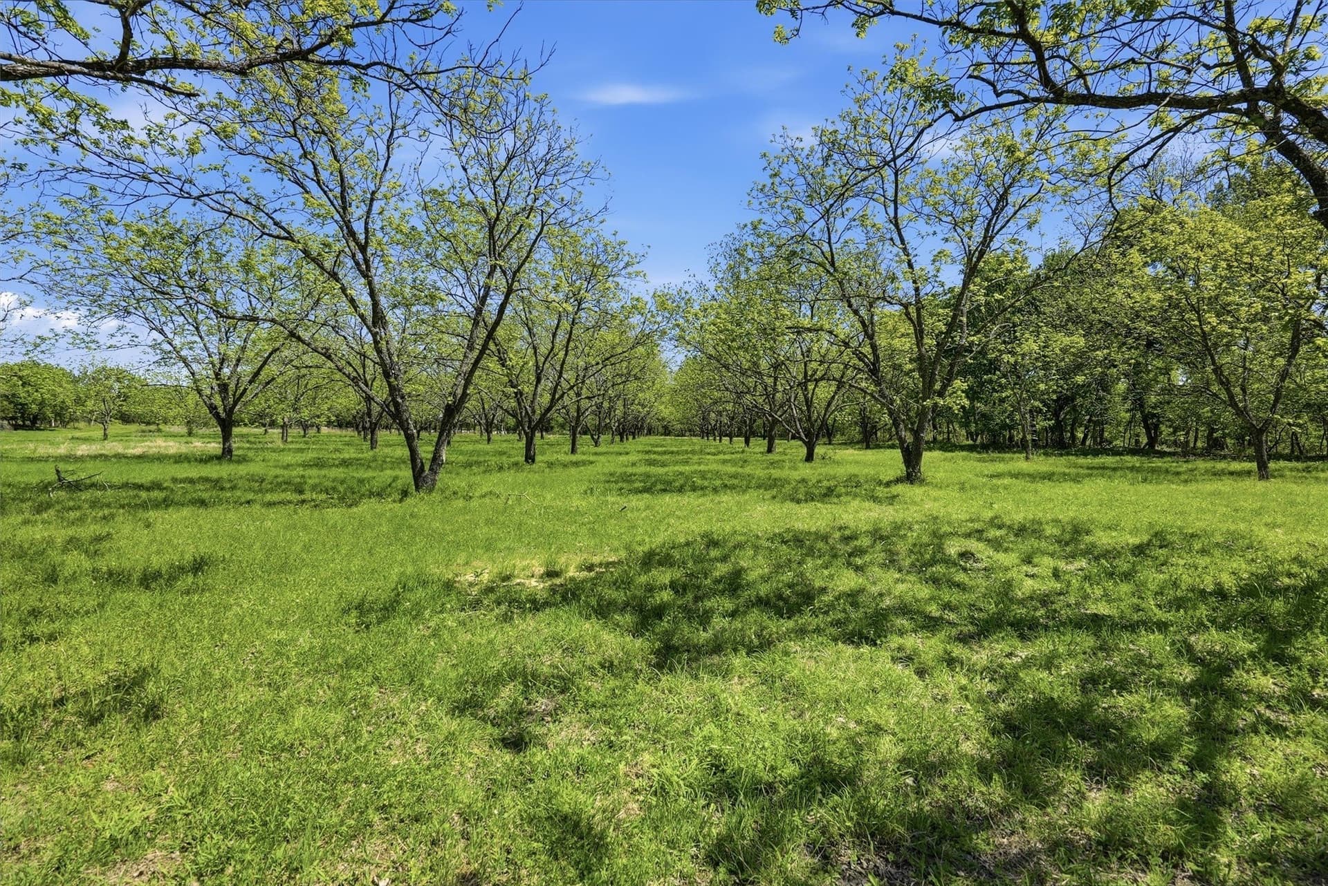 20.01 acres in Hood County - photo 8