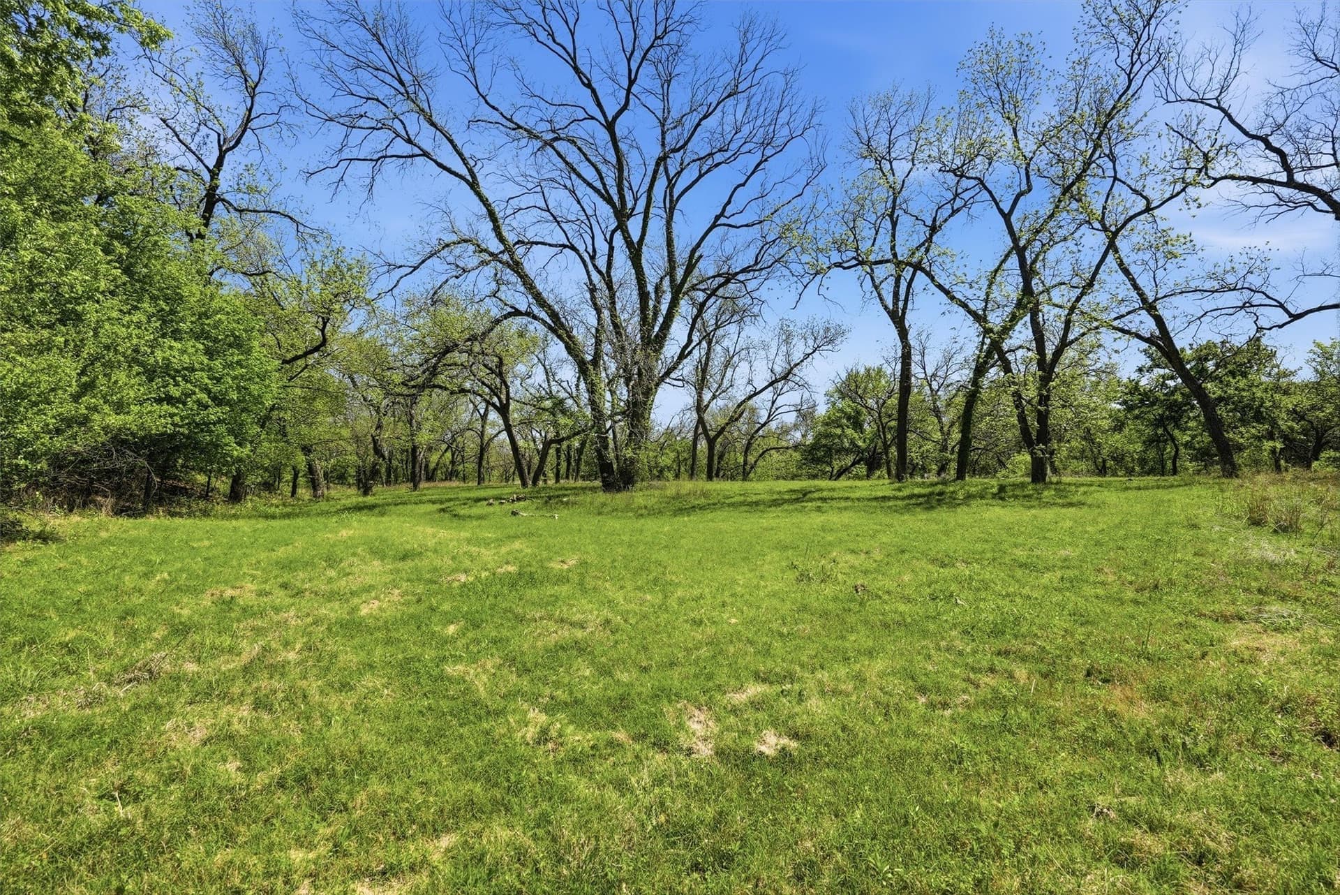 20.01 acres in Hood County - photo 9