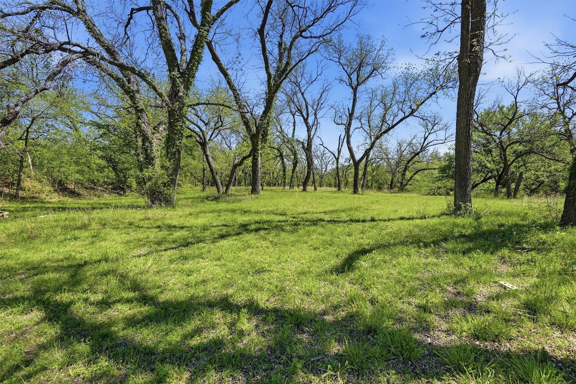 20.01 acres in Hood County - photo 12
