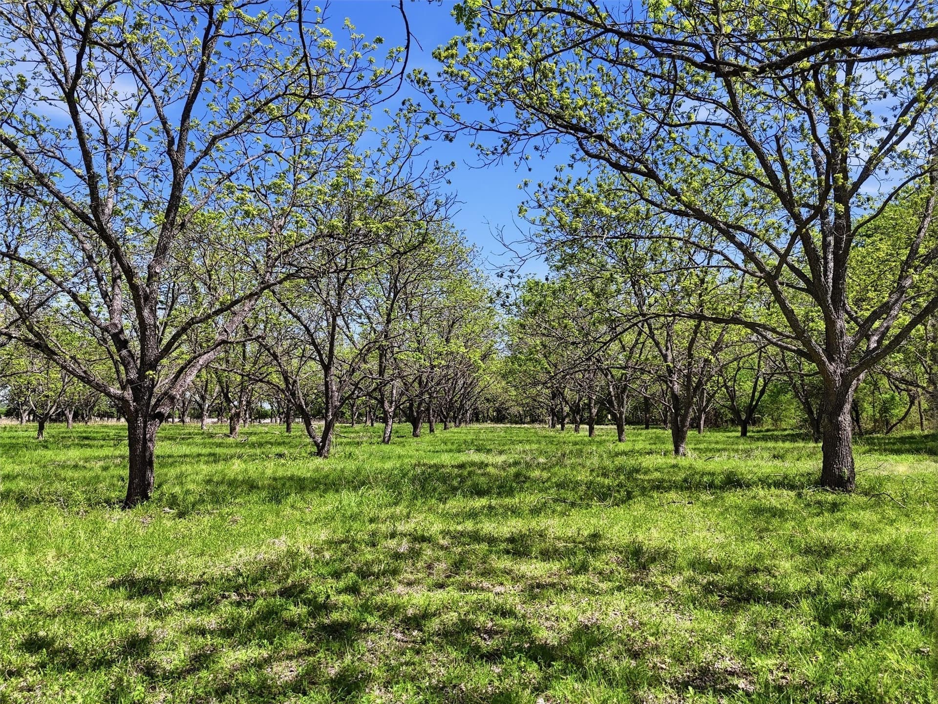 20.01 acres in Hood County - photo 7