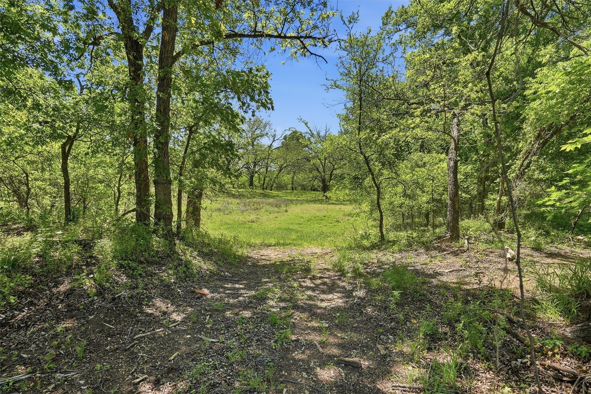 20.01 acres in Hood County - photo 11