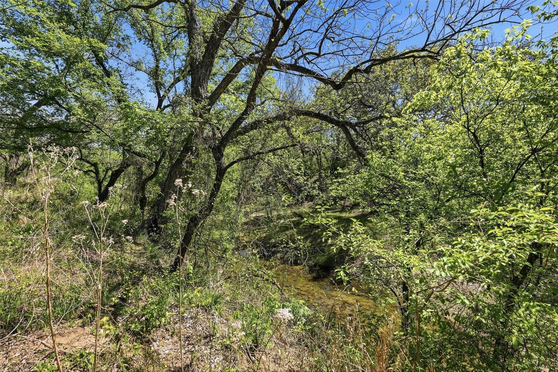 20.01 acres in Hood County - photo 26