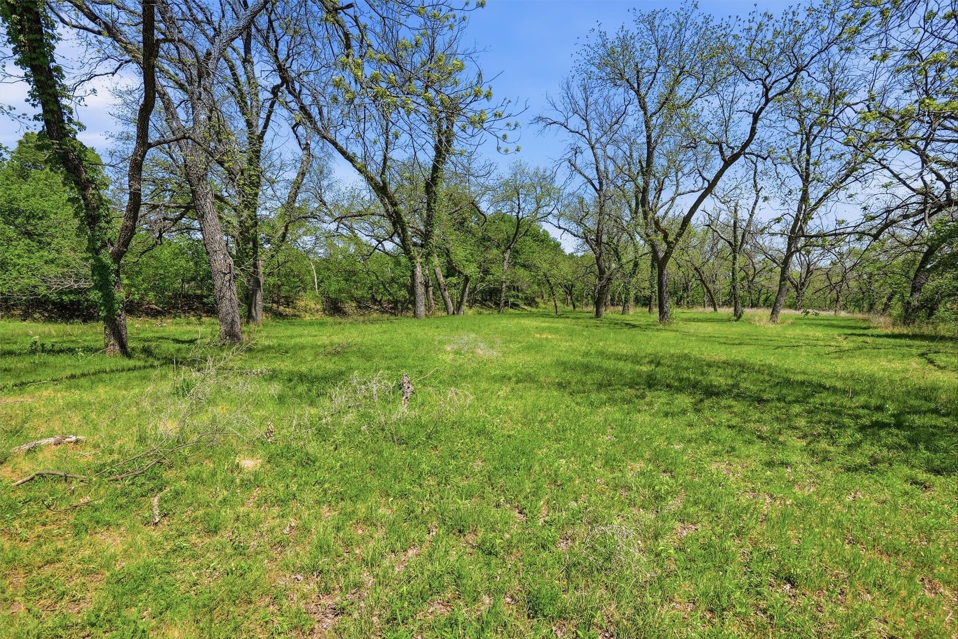 20.01 acres in Hood County - photo 13