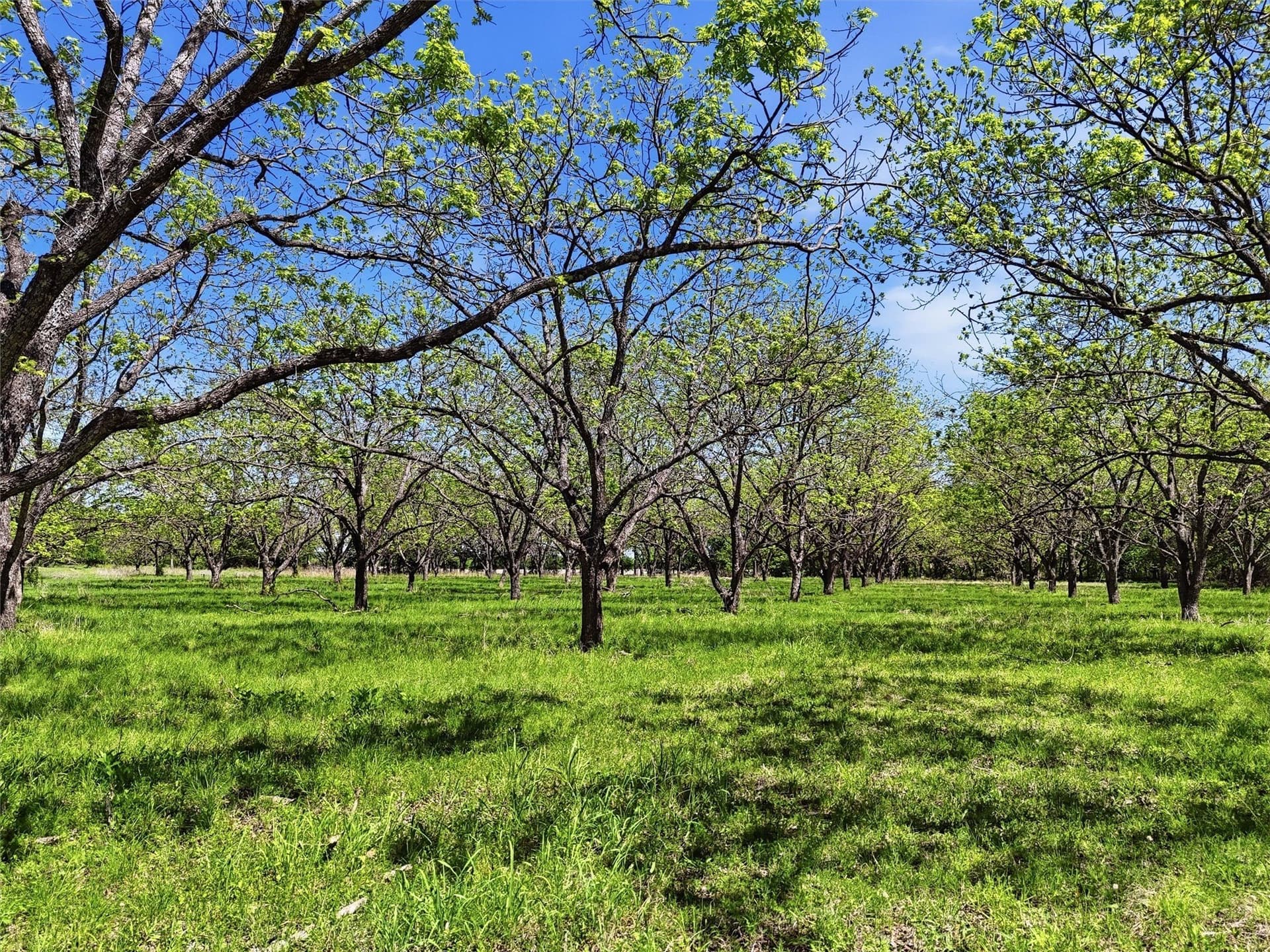 20.01 acres in Hood County - photo 25