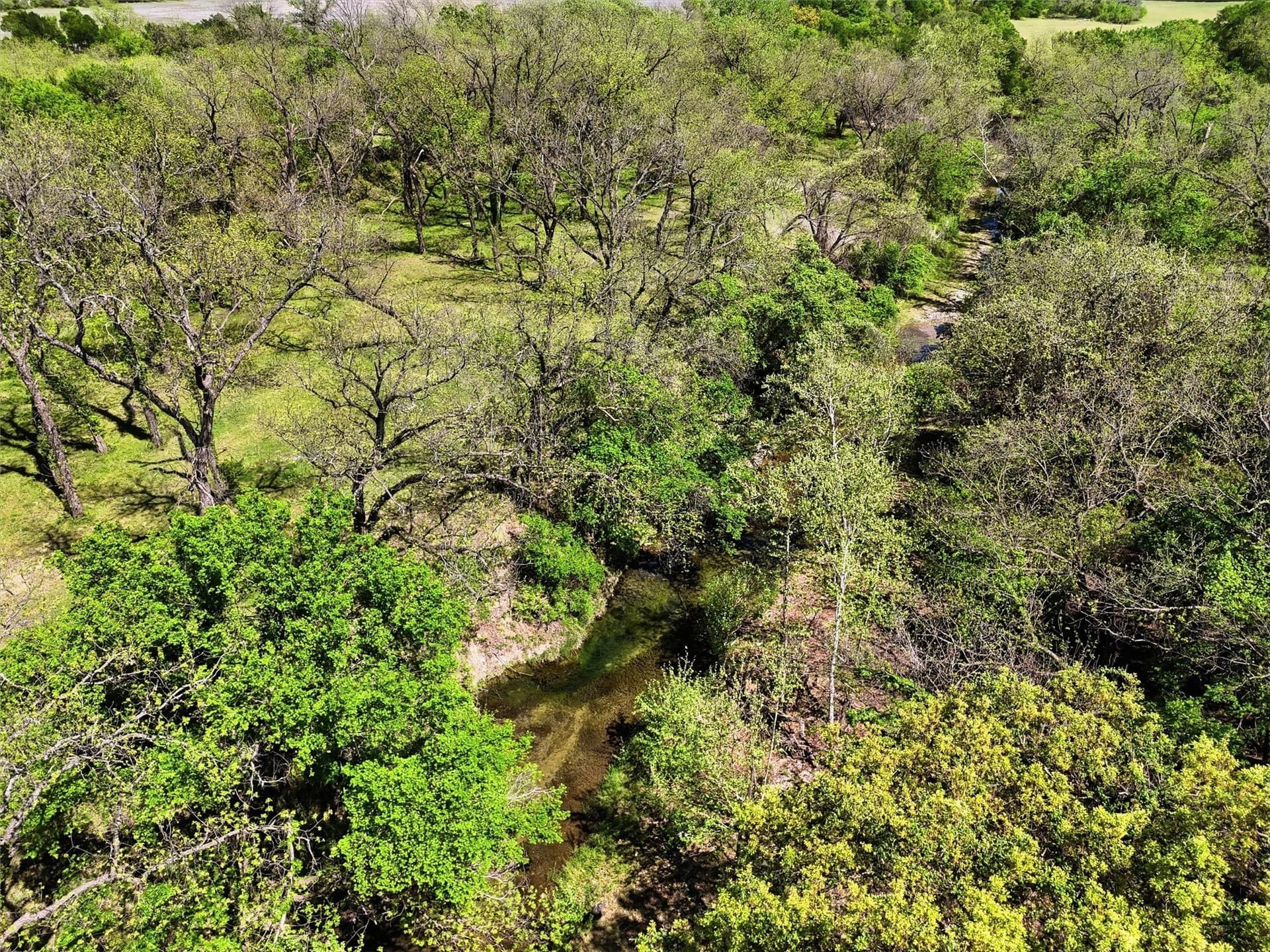 20.01 acres in Hood County - photo 15