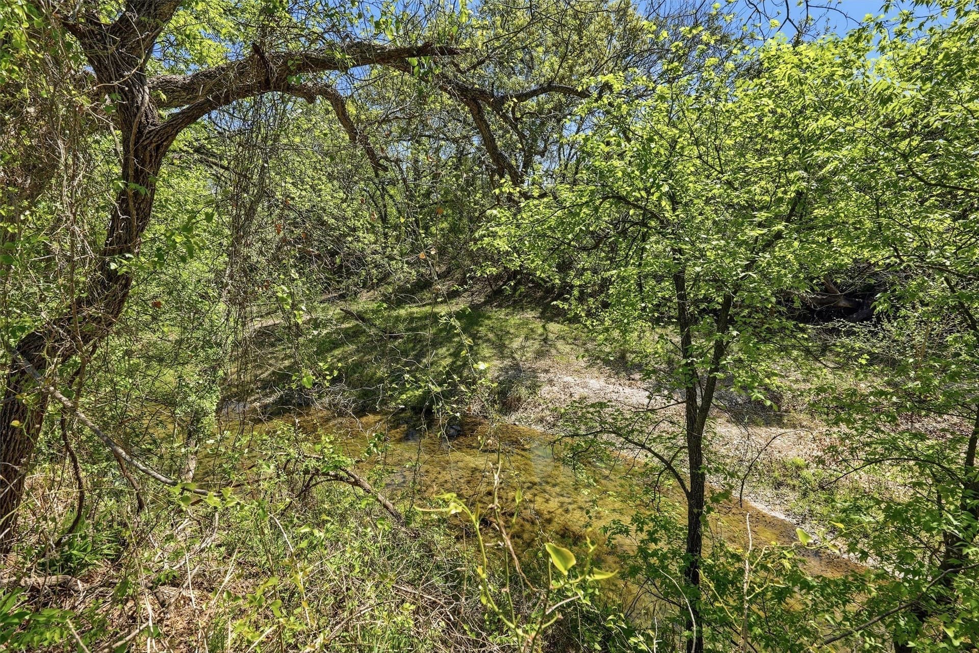 20.01 acres in Hood County - photo 14