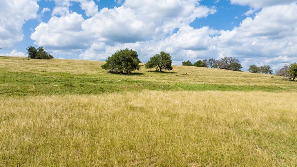 10.18 acres in Gillespie County gallery image 3