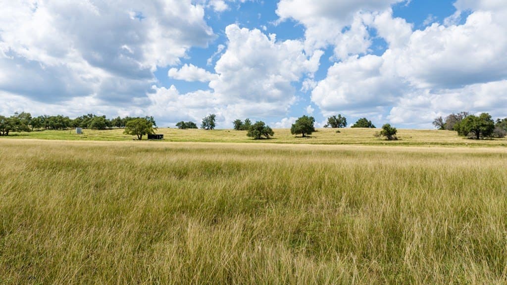 10.18 acres in Gillespie County gallery image 2