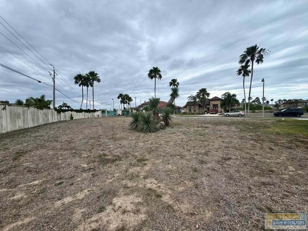 0 acres in Cameron County gallery image 3