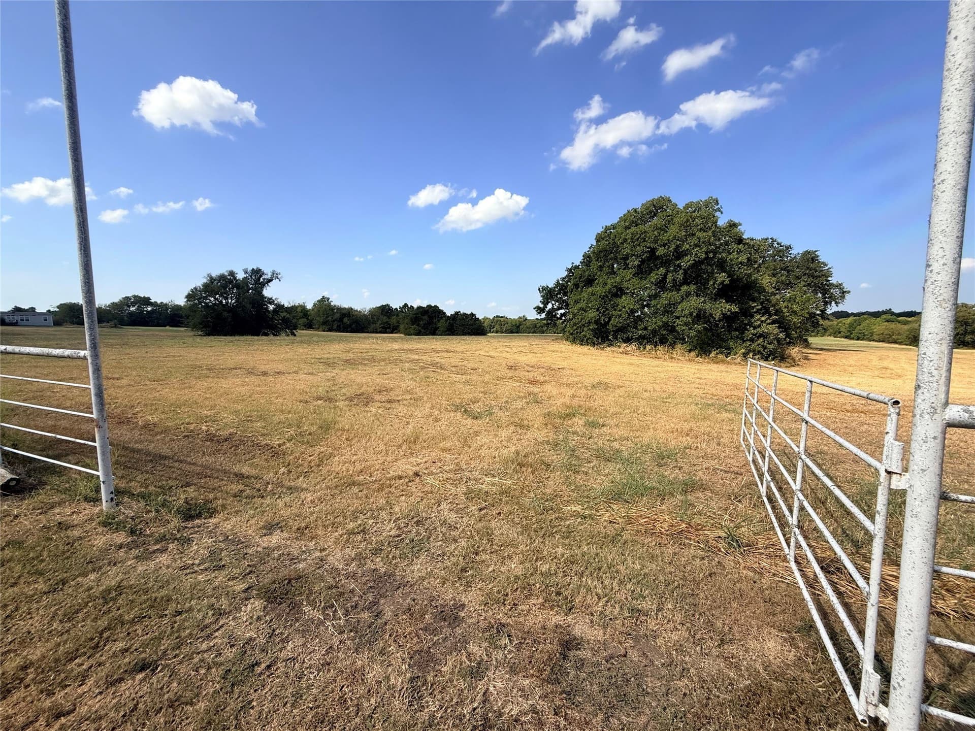 52.67 acres in Hopkins County - photo 7