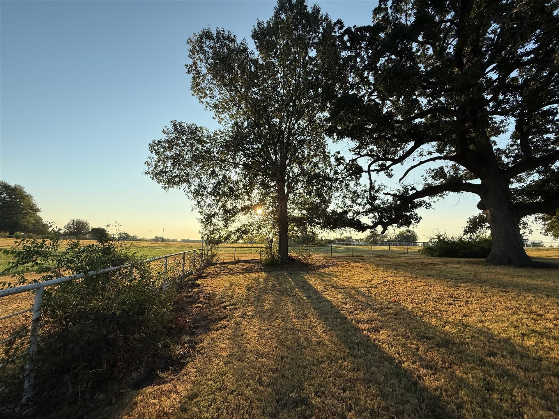 52.67 acres in Hopkins County - photo 10