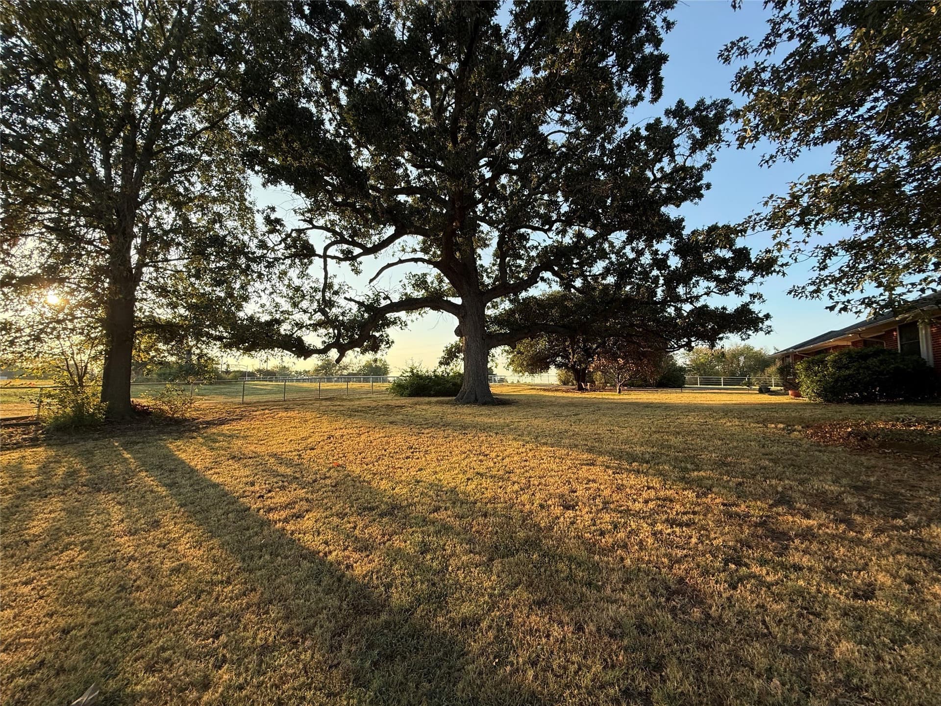 52.67 acres in Hopkins County - photo 11