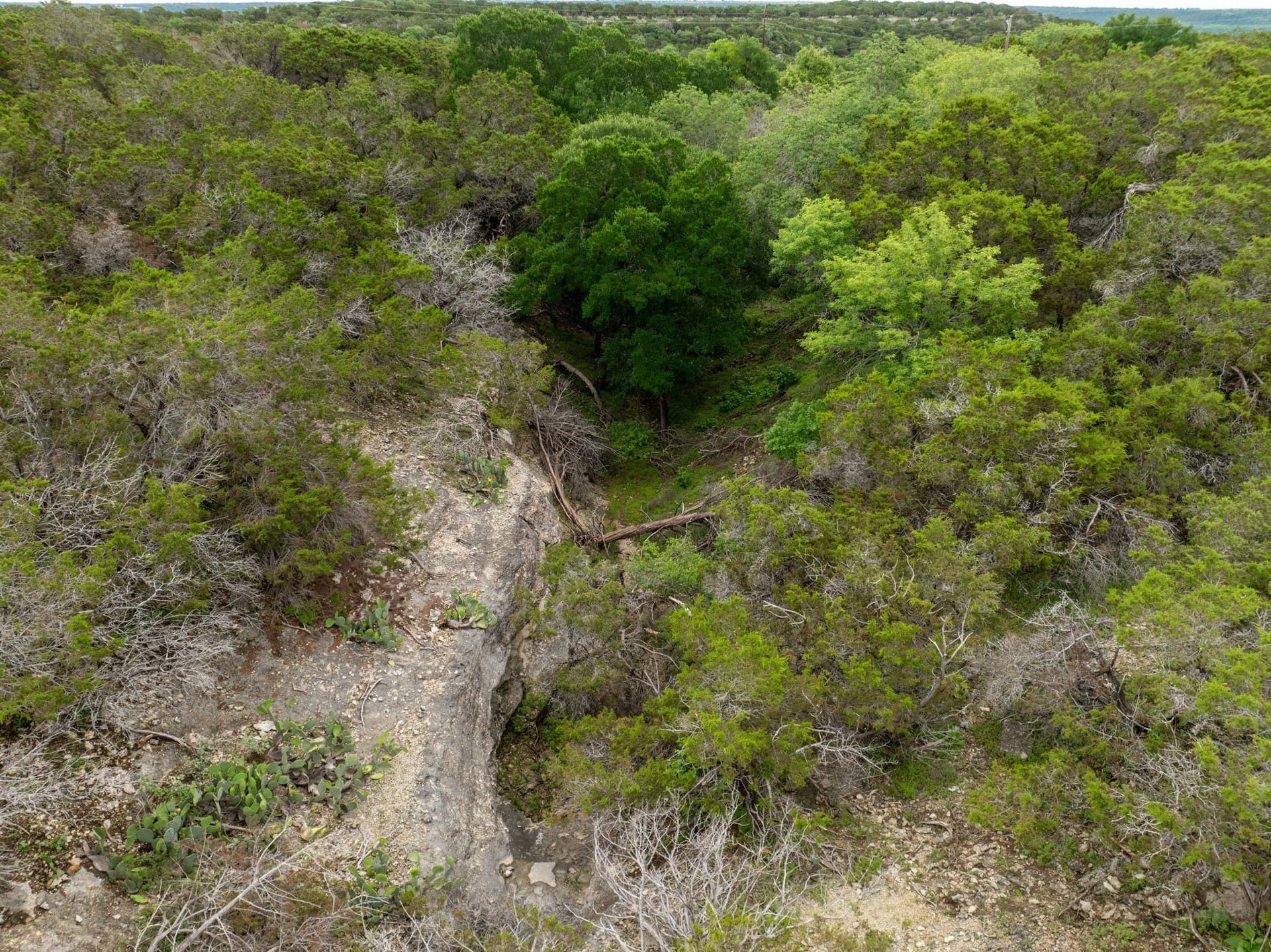 57.63 acres in Bosque County - photo 35