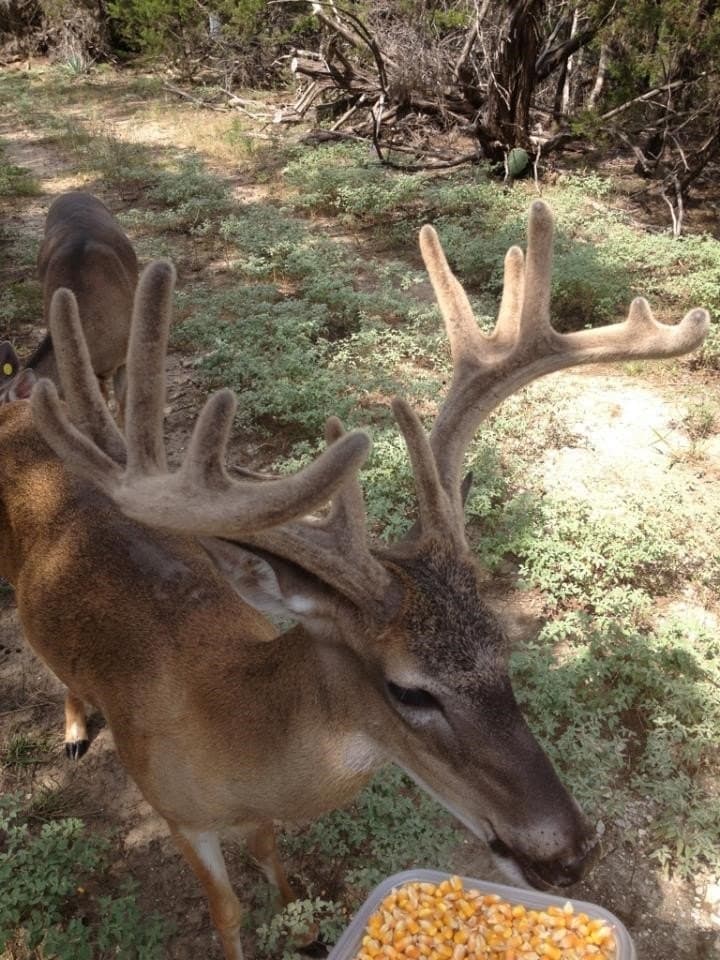 57.63 acres in Bosque County - photo 39