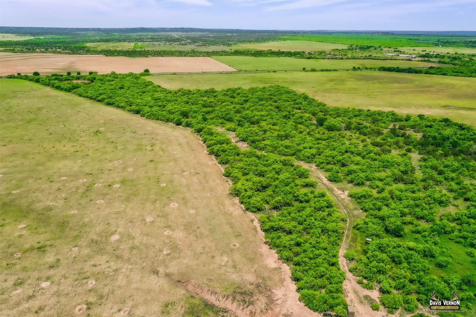 320 acres in Foard County - photo 6