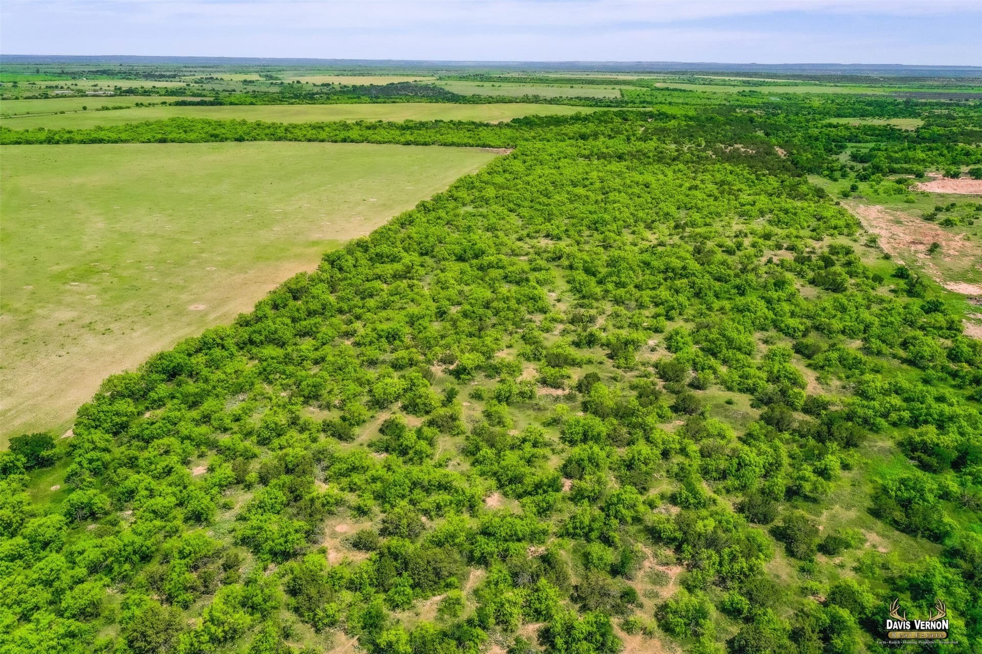 320 acres in Foard County - photo 4