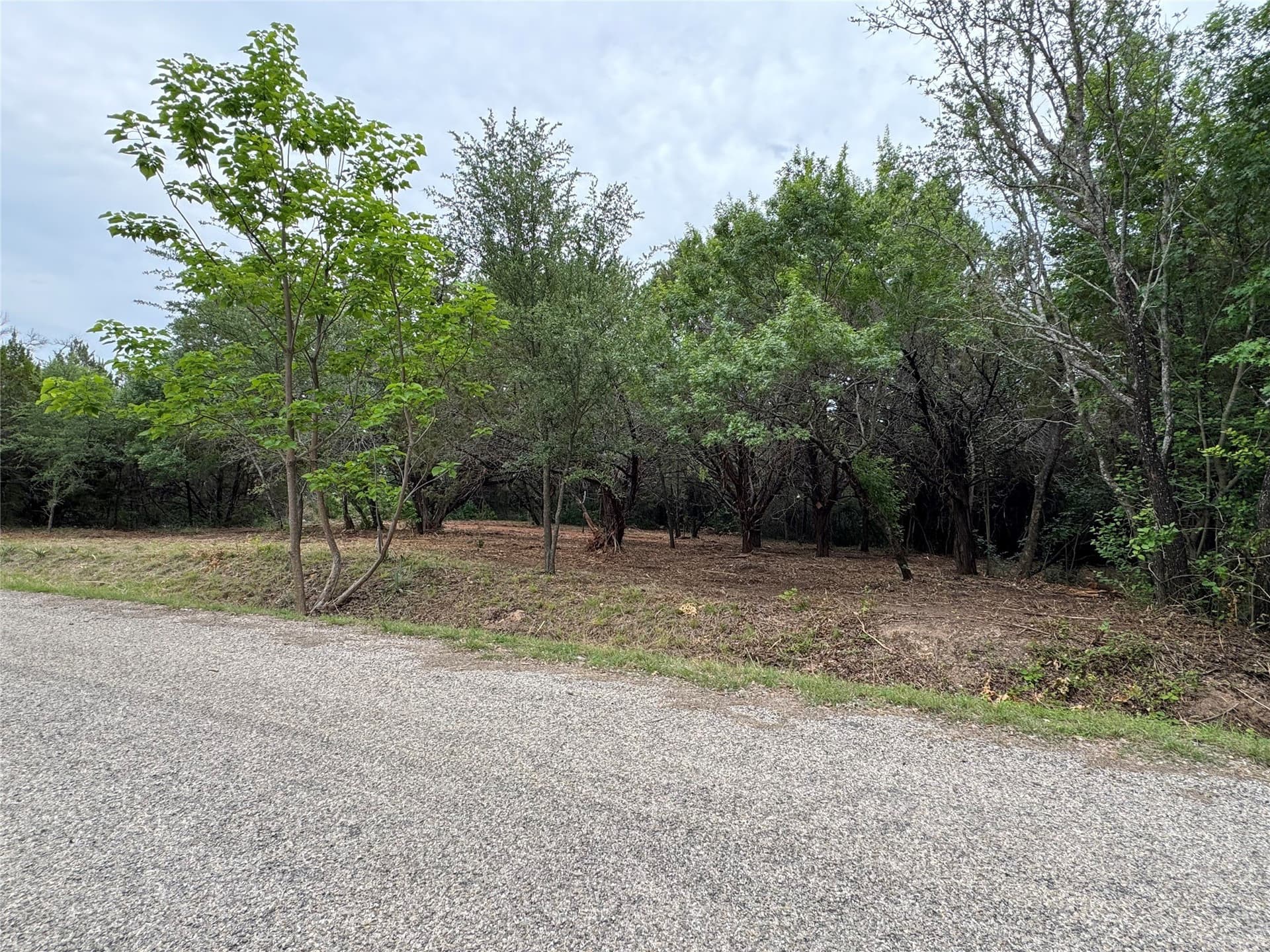 0.08 acres in Hood County - photo 2