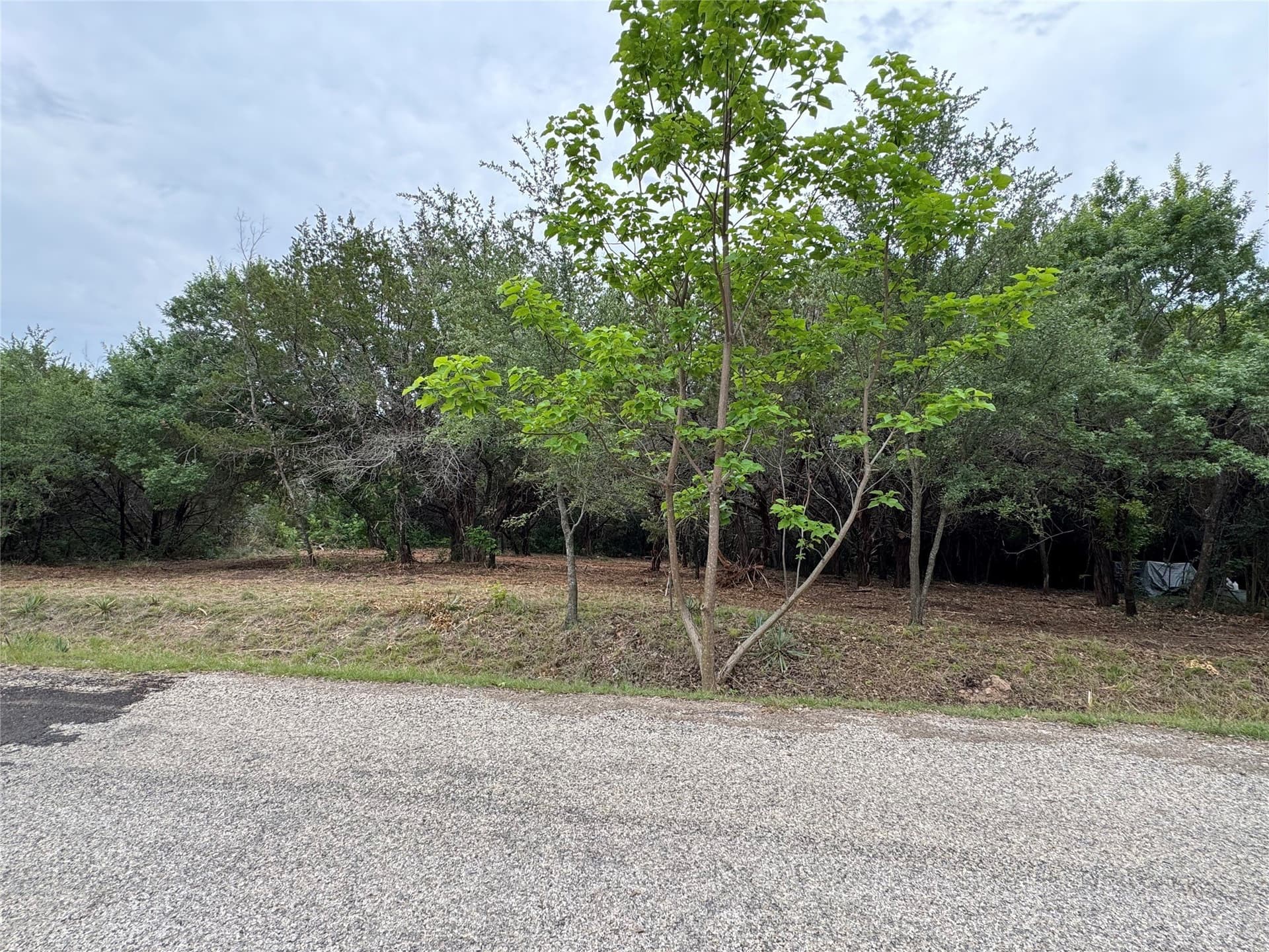 0.08 acres in Hood County - photo 4