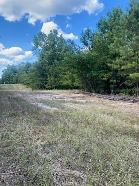 14.84 acres in Texas County gallery image 2