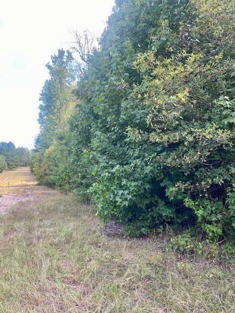 14.84 acres in Texas County gallery image 3