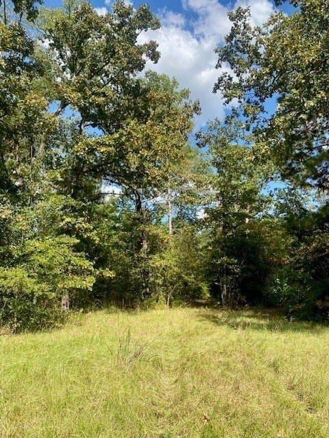14.84 acres in Texas County gallery image 4