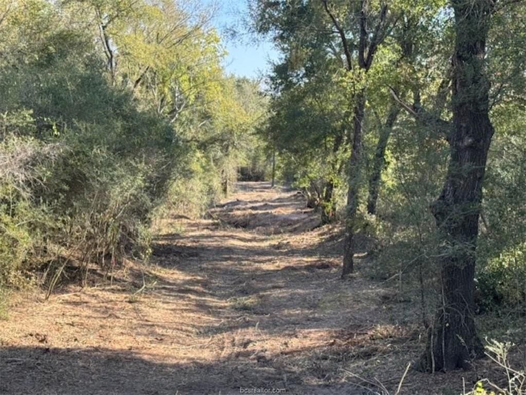 3.42 acres in Washington County - photo 13