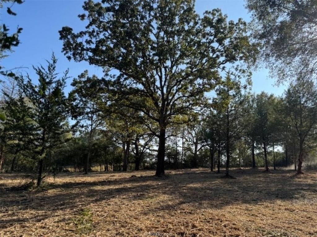 3.42 acres in Washington County - photo 9