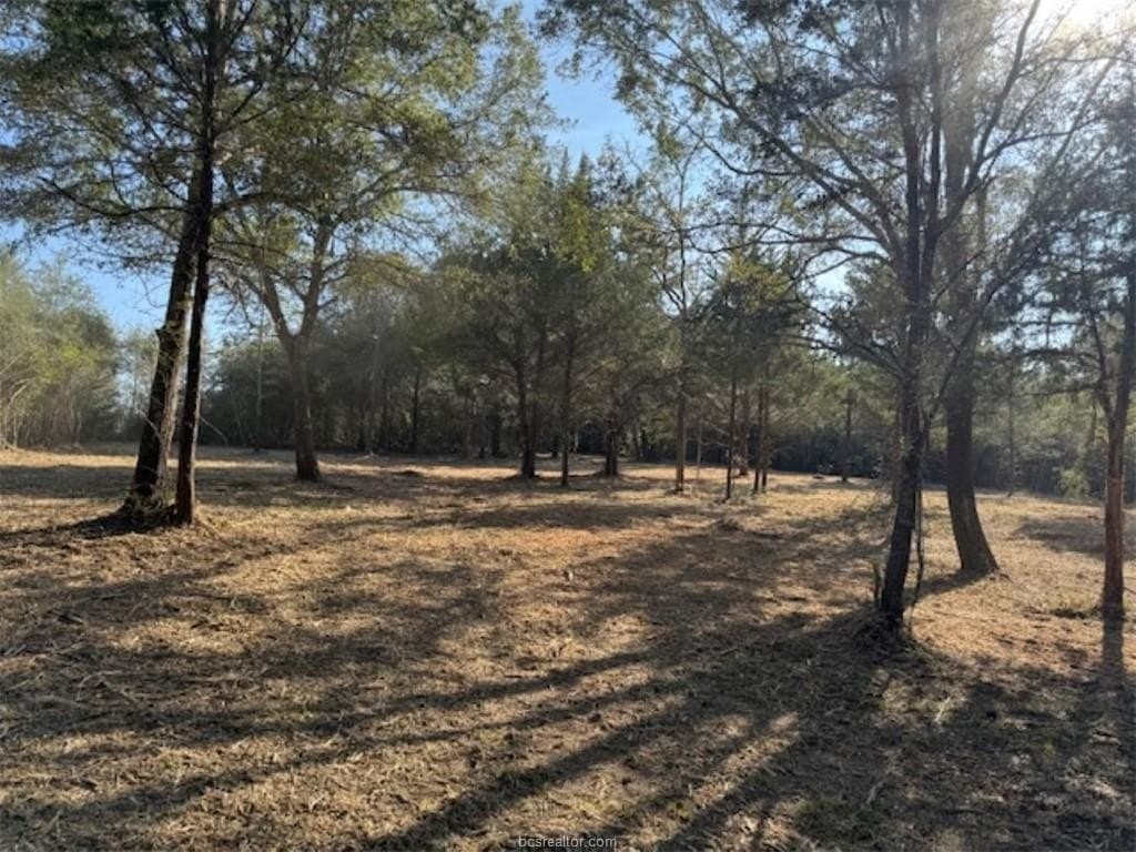 3.42 acres in Washington County gallery image 4