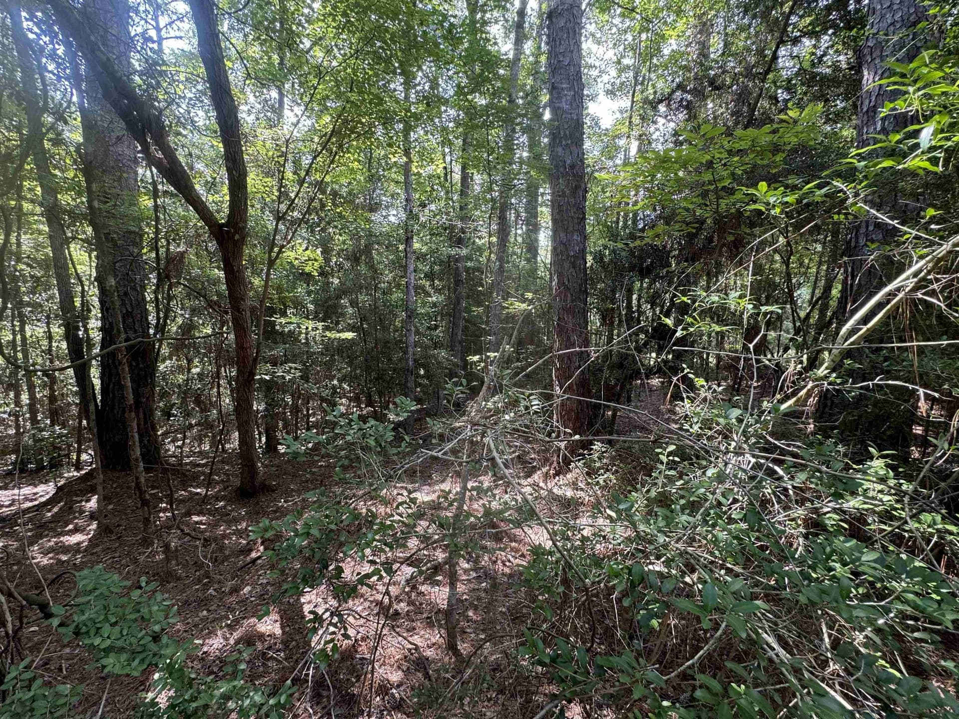 0.26 acres in Texas County - photo 6