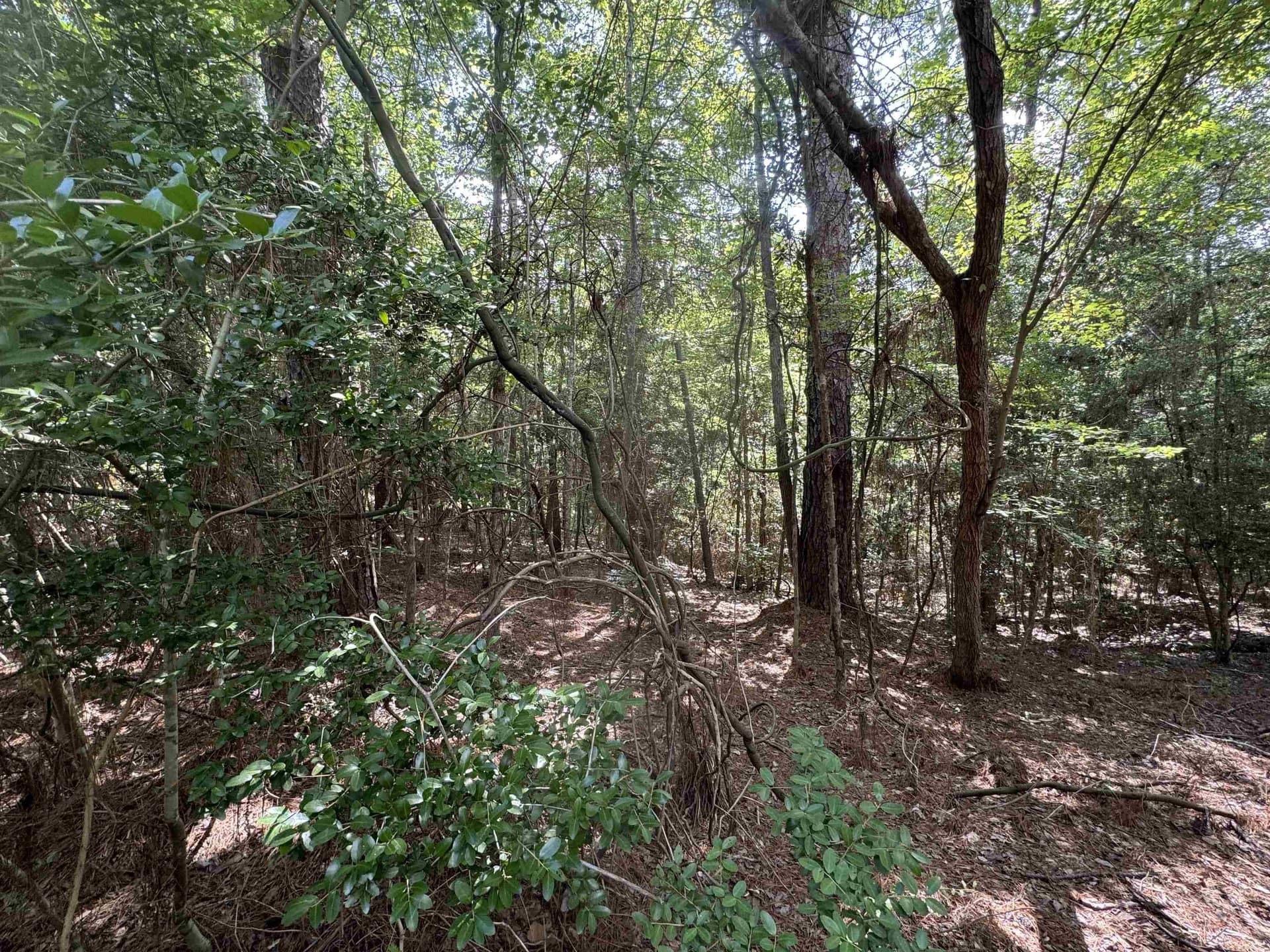 0.26 acres in Texas County - photo 7