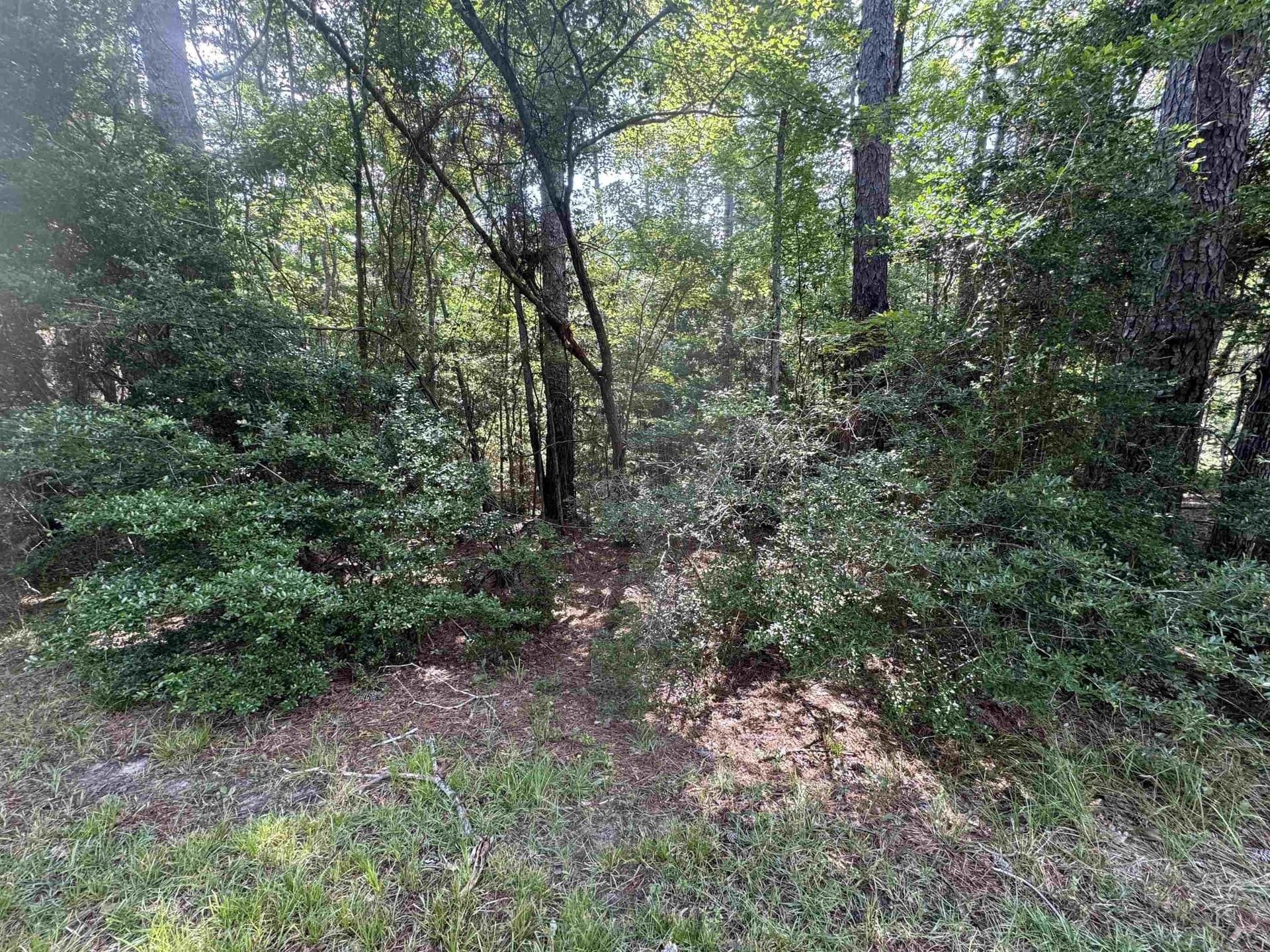 0.26 acres in Texas County