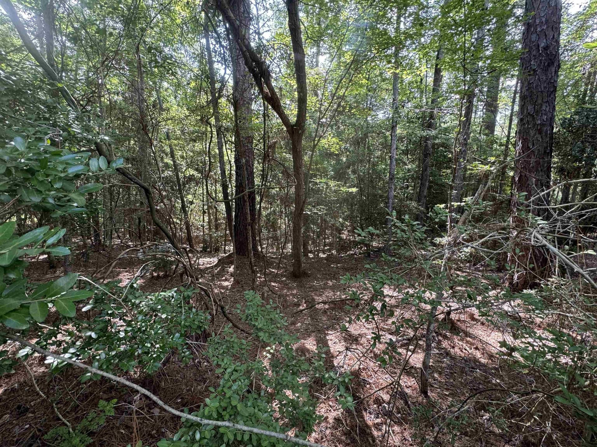 0.26 acres in Texas County featured view