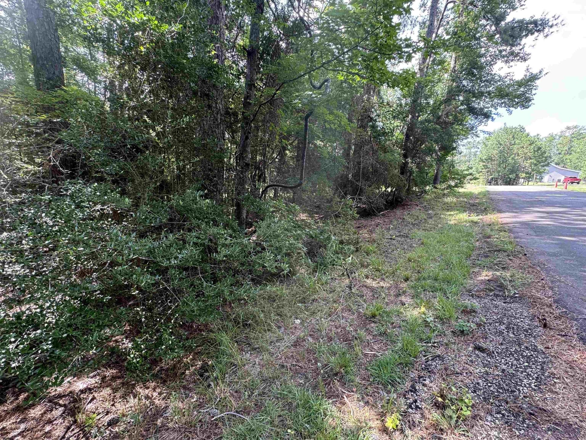 0.26 acres in Texas County - photo 8