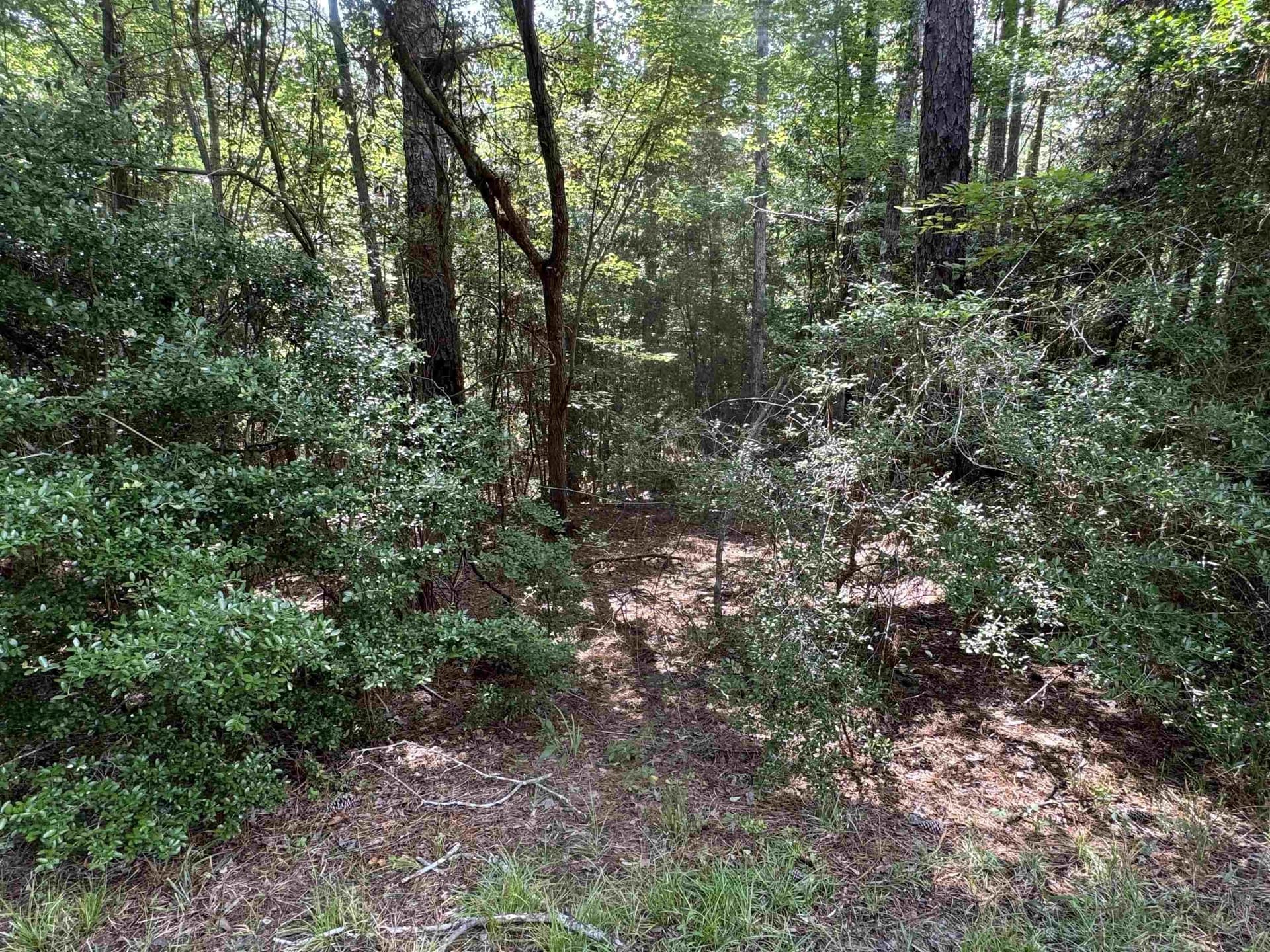0.26 acres in Texas County gallery image 3